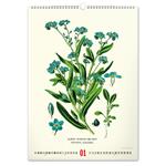 Nástenný kalendár 2026 Vintage plagáty - Herbár