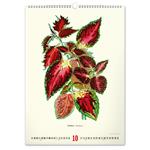 Nástenný kalendár 2026 Vintage plagáty - Herbár