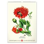 Nástenný kalendár 2026 Vintage plagáty - Herbár