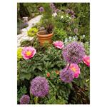 Nástenný kalendár 2026 Záhrady