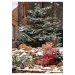 Nástenný kalendár 2026 Záhrady