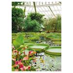 Nástenný kalendár 2026 Záhrady