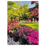 Nástenný kalendár 2026 Záhrady