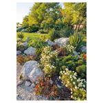 Nástenný kalendár 2026 Záhrady