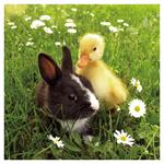 Nástenný kalendár 2026 Zvieratká