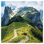 Nástenný poznámkový kalendár 2026 Alpy