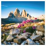 Nástenný poznámkový kalendár 2026 Alpy