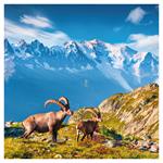 Nástenný poznámkový kalendár 2026 Alpy