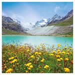 Nástenný poznámkový kalendár 2026 Alpy