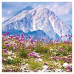 Nástenný poznámkový kalendár 2026 Alpy