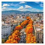 Nástenný poznámkový kalendár 2026 Barcelona