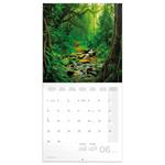 Nástenný poznámkový kalendár 2026 Dažďové pralesy
