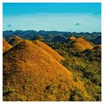 Nástenný poznámkový kalendár 2026 Dažďové pralesy