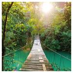 Nástenný poznámkový kalendár 2026 Dažďové pralesy