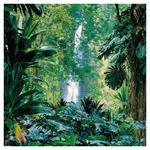 Nástenný poznámkový kalendár 2026 Dažďové pralesy