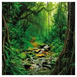 Nástenný poznámkový kalendár 2026 Dažďové pralesy