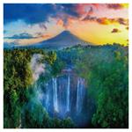 Nástenný poznámkový kalendár 2026 Dažďové pralesy