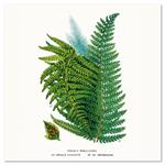 Nástenný poznámkový kalendár 2026 Herbár