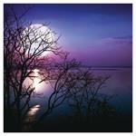 Nástenný poznámkový kalendár 2026 Mesiac