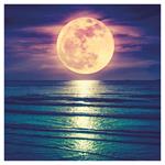 Nástenný poznámkový kalendár 2026 Mesiac