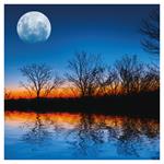 Nástenný poznámkový kalendár 2026 Mesiac