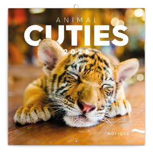 Nástenný poznámkový kalendár 2026 Mláďatá