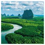 Nástenný poznámkový kalendár 2026 Naša Planéta