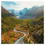 Nástenný poznámkový kalendár 2026 Naša Planéta