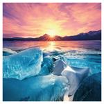 Nástenný poznámkový kalendár 2026 Naša Planéta