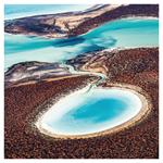 Nástenný poznámkový kalendár 2026 Naša Planéta