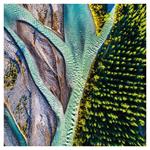 Nástenný poznámkový kalendár 2026 Naša Planéta