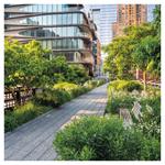 Nástenný poznámkový kalendár 2026 New York