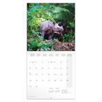 Nástenný poznámkový kalendár 2026 Ohrozené druhy