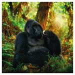 Nástenný poznámkový kalendár 2026 Ohrozené druhy