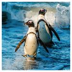 Nástenný poznámkový kalendár 2026 Ohrozené druhy