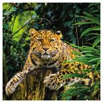 Nástenný poznámkový kalendár 2026 Ohrozené druhy