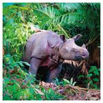 Nástenný poznámkový kalendár 2026 Ohrozené druhy