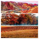 Nástenný poznámkový kalendár 2026 Paleta