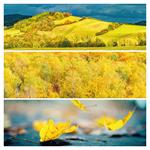 Nástenný poznámkový kalendár 2026 Paleta