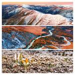 Nástenný poznámkový kalendár 2026 Paleta