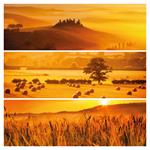 Nástenný poznámkový kalendár 2026 Paleta