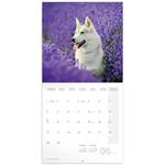 Nástenný poznámkový kalendár 2026 Psy