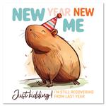 Nástenný poznámkový kalendár 2026 Rozverné kapybary