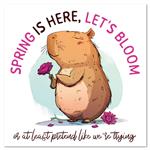 Nástenný poznámkový kalendár 2026 Rozverné kapybary