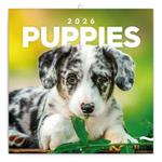 Nástenný poznámkový kalendár 2026 Šteňatá