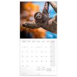 Nástenný poznámkový kalendár 2026 Úsmev, prosím