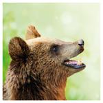 Nástenný poznámkový kalendár 2026 Úsmev, prosím