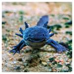 Nástenný poznámkový kalendár 2026 Úsmev, prosím