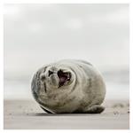 Nástenný poznámkový kalendár 2026 Úsmev, prosím