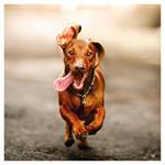 Nástenný poznámkový kalendár 2026 Úsmev, prosím